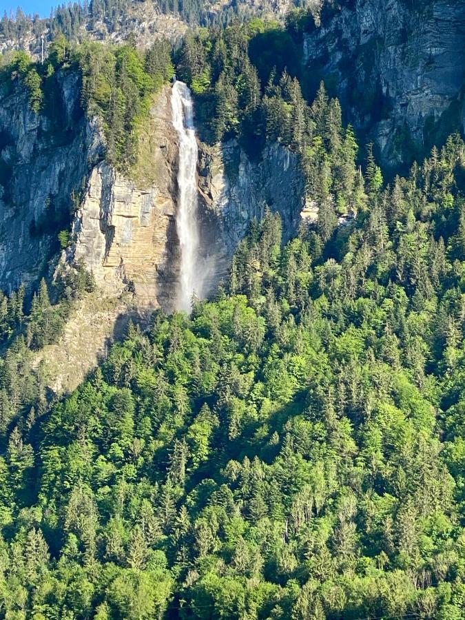 Appartement Aareschlucht- Grandiose Aussicht Fuer 2-6 Pers. Meiringen Extérieur photo