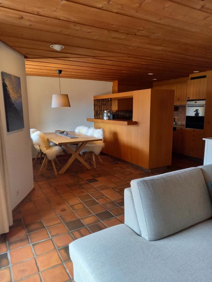 Appartement Aareschlucht- Grandiose Aussicht Fuer 2-6 Pers. Meiringen Extérieur photo